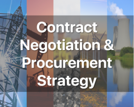 Contract Negotiation & Procurement Strategy