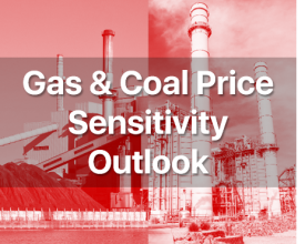 Gas & Coal Price Sensitivity Outlook