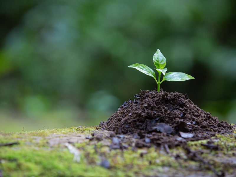 The New Horizon: Understanding EPA’s 2024 Suite of New Environmental Regulations for Power Plants